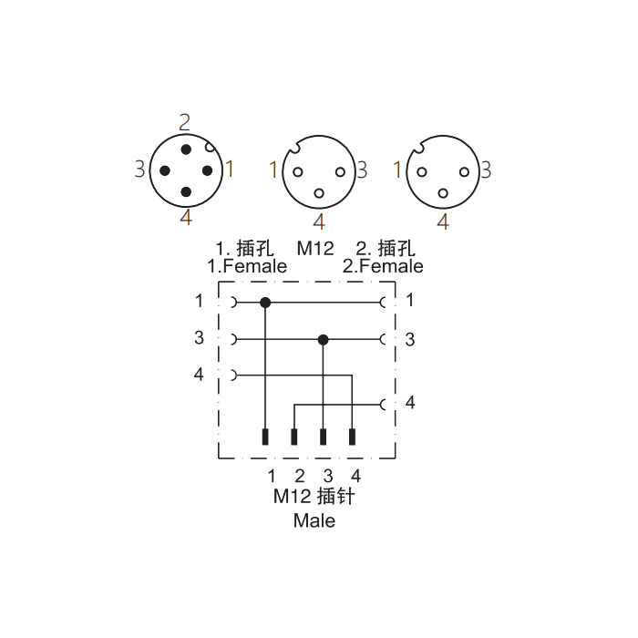 M12 4Pin公頭/2M12 3Pin母頭、Y型插接器、644491