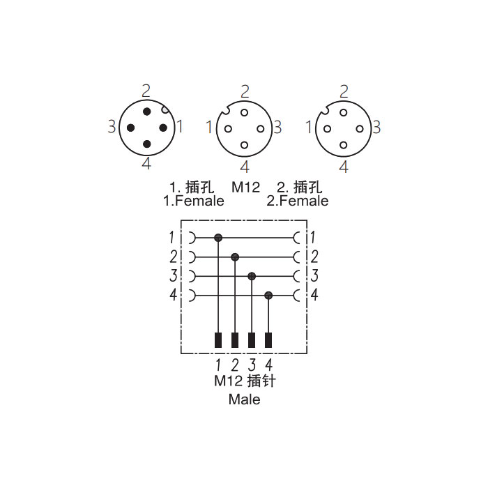 M12 4Pin male/2M12 4Pin female 、Y-connector、644442