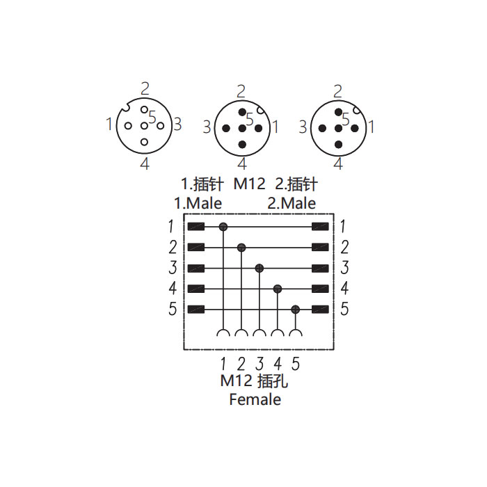 M12 5Pin母頭/2M12 5Pin公頭、三通接頭、644456