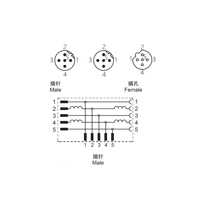 M12 5 Pin male/2M12 5 Pin female 、?B-coded 、T-connector、0C5555