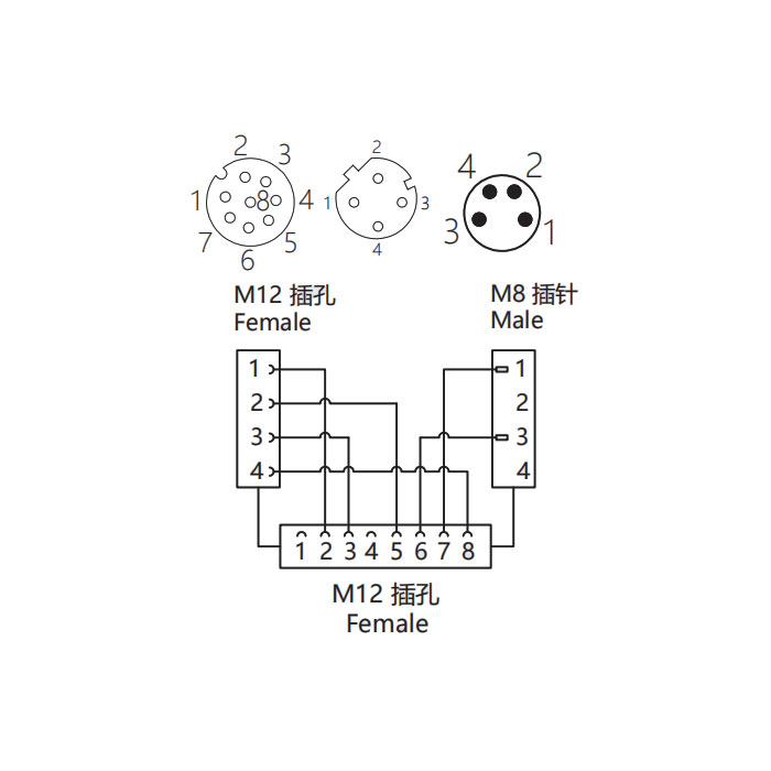 M12 8Pin母頭/M12 4Pin母頭D扣+M8 4Pin公頭、三通接頭、648D41