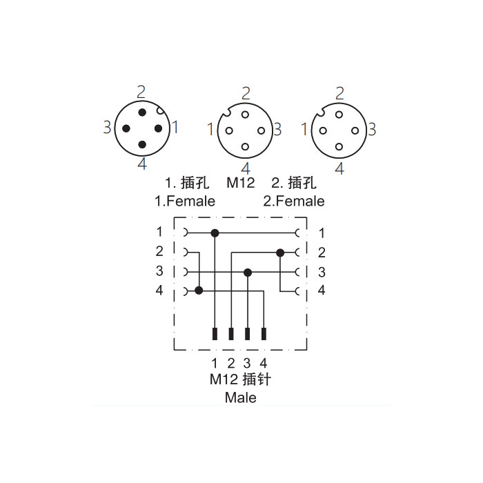 M12 4Pin male/2M12 4Pin female 、Y-connector、644461