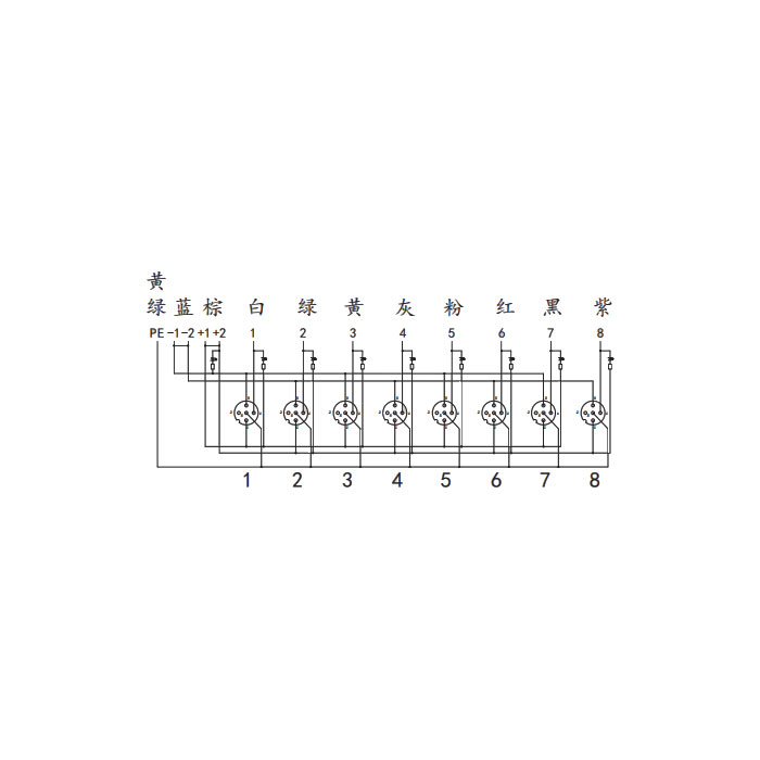 M12分線盒、單通道、NPN、8端口分體式、帶LED、PCB端子、24N80E