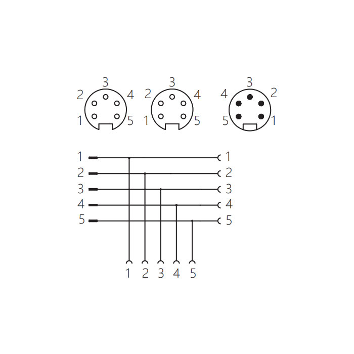 7/8" 5Pin 公頭/2x 7/8" 5Pin 母頭、T型三通、0PI555