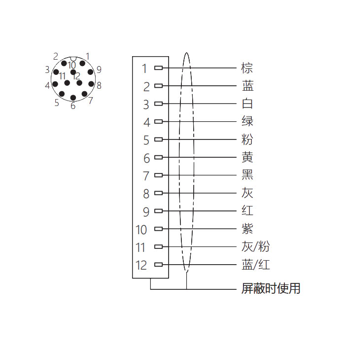 M12 12Pin、公頭直型、法蘭插座、板后安裝、適用于PCB安裝、64SC81P