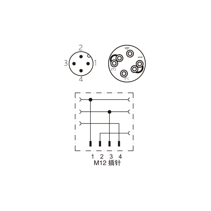 M12 4Pin、公頭直型、直插式連接、食品級、Y型分線器、64FY29