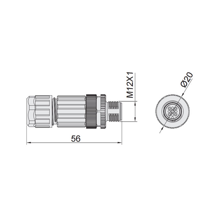 M12 5Pin、公頭直型、食品級、螺釘連接、64F289