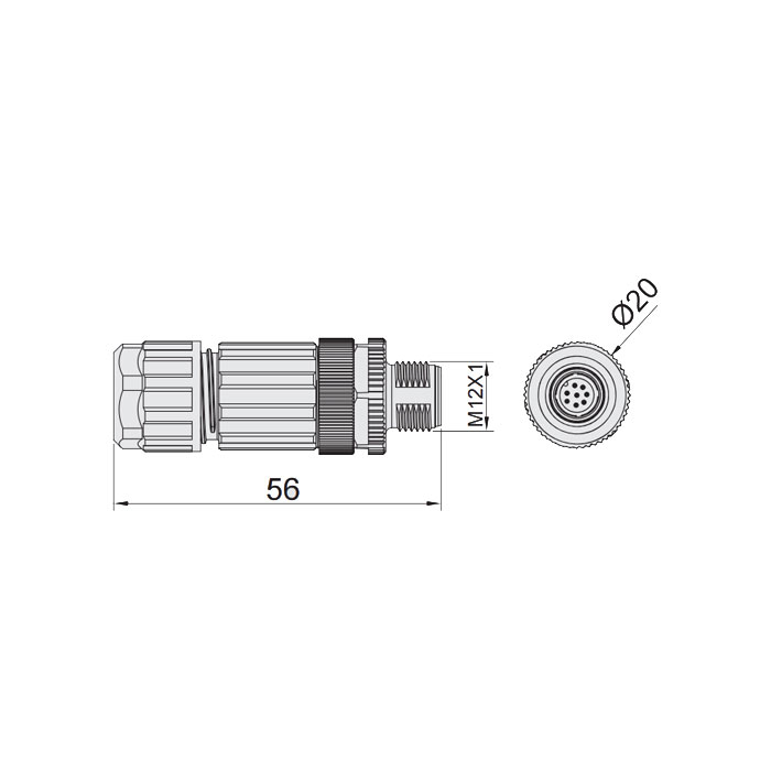 M12 8Pin、公頭直型、食品級、螺釘連接、64F389