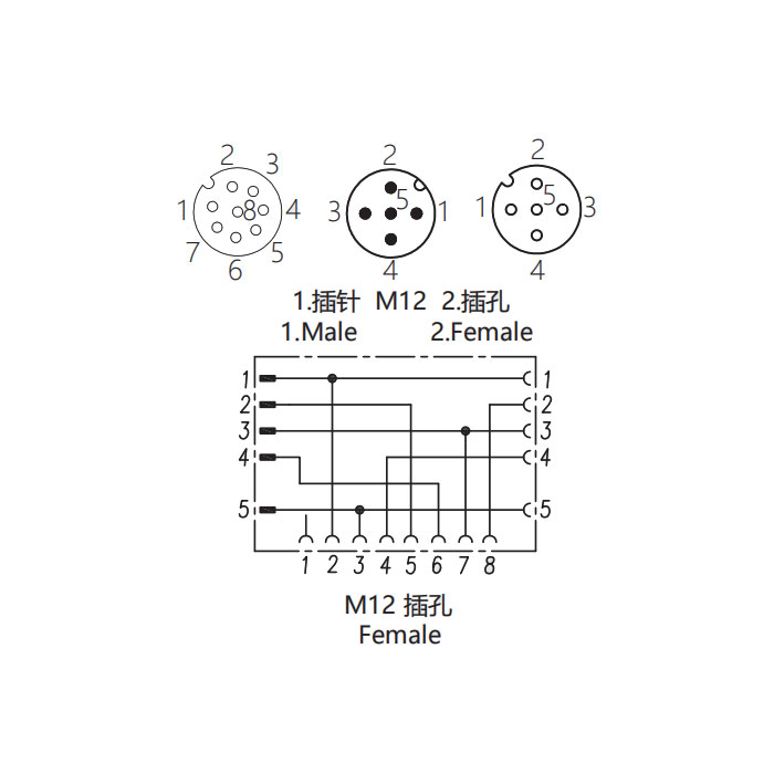 M12 8Pin母頭/M12 5Pin公頭+M12 5Pin母頭、三通接頭、648551